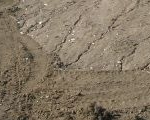 Landscaping Construction